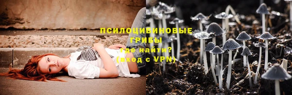 герыч Верхний Тагил