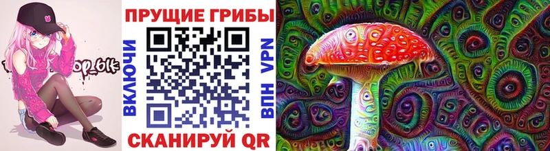 Купить  Ялта  Псилоцибиновые грибы Cubensis 