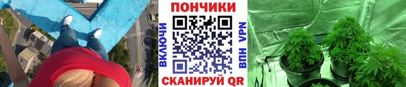 Шишки марихуана тримм  Купить где  Ялта 